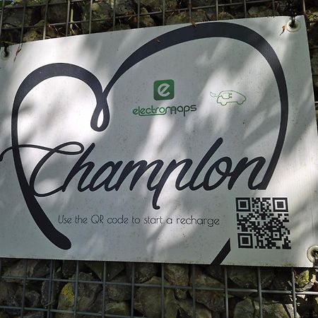 Gite Au Coeur De Champlon Zewnętrze zdjęcie